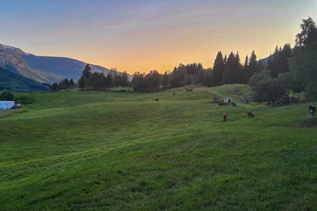 Holiday Home Among The Pearls Of Norway Stranda  Exteriör bild