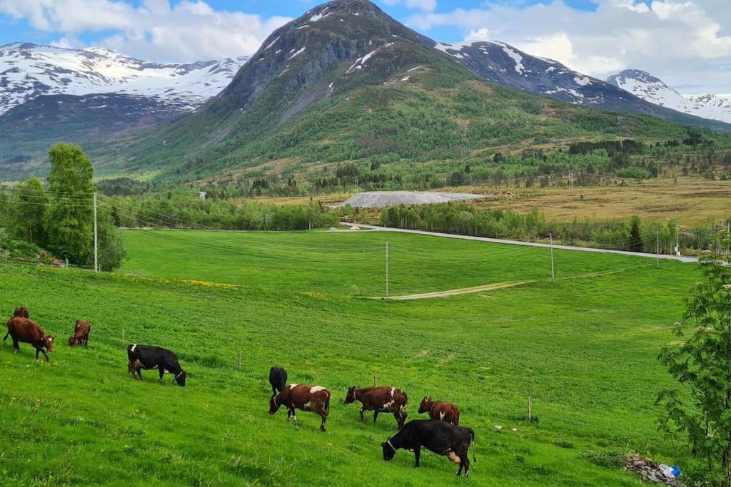Holiday Home Among The Pearls Of Norway Stranda  Exteriör bild