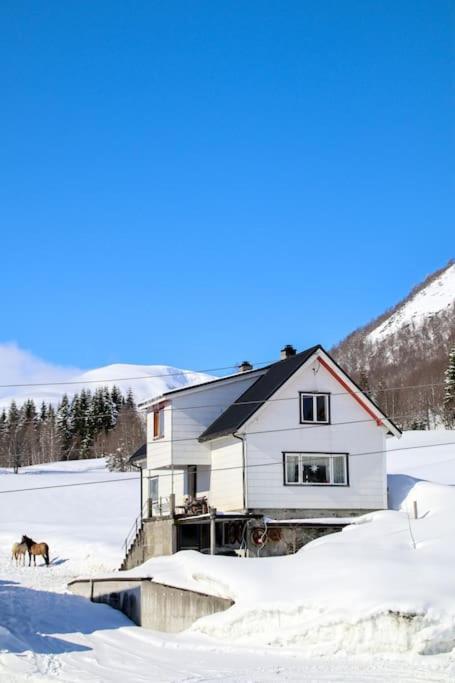 Holiday Home Among The Pearls Of Norway Stranda  Exteriör bild