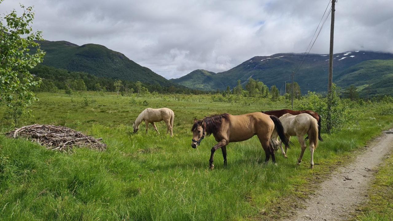 Holiday Home Among The Pearls Of Norway Stranda  Exteriör bild