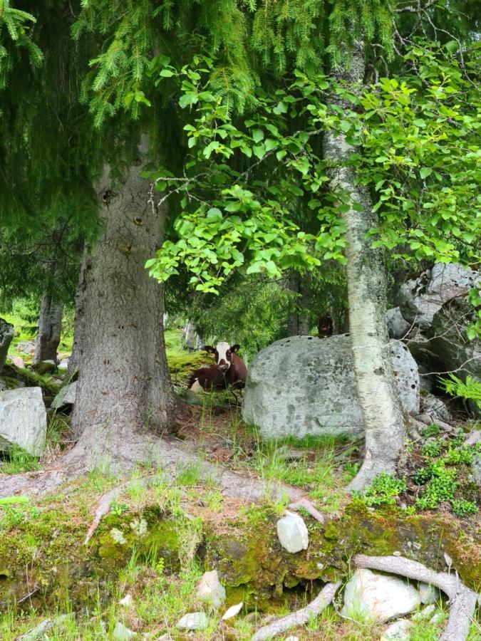 Holiday Home Among The Pearls Of Norway Stranda  Exteriör bild