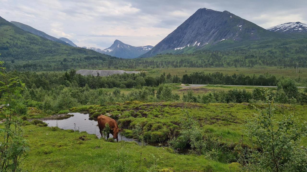 Holiday Home Among The Pearls Of Norway Stranda  Exteriör bild