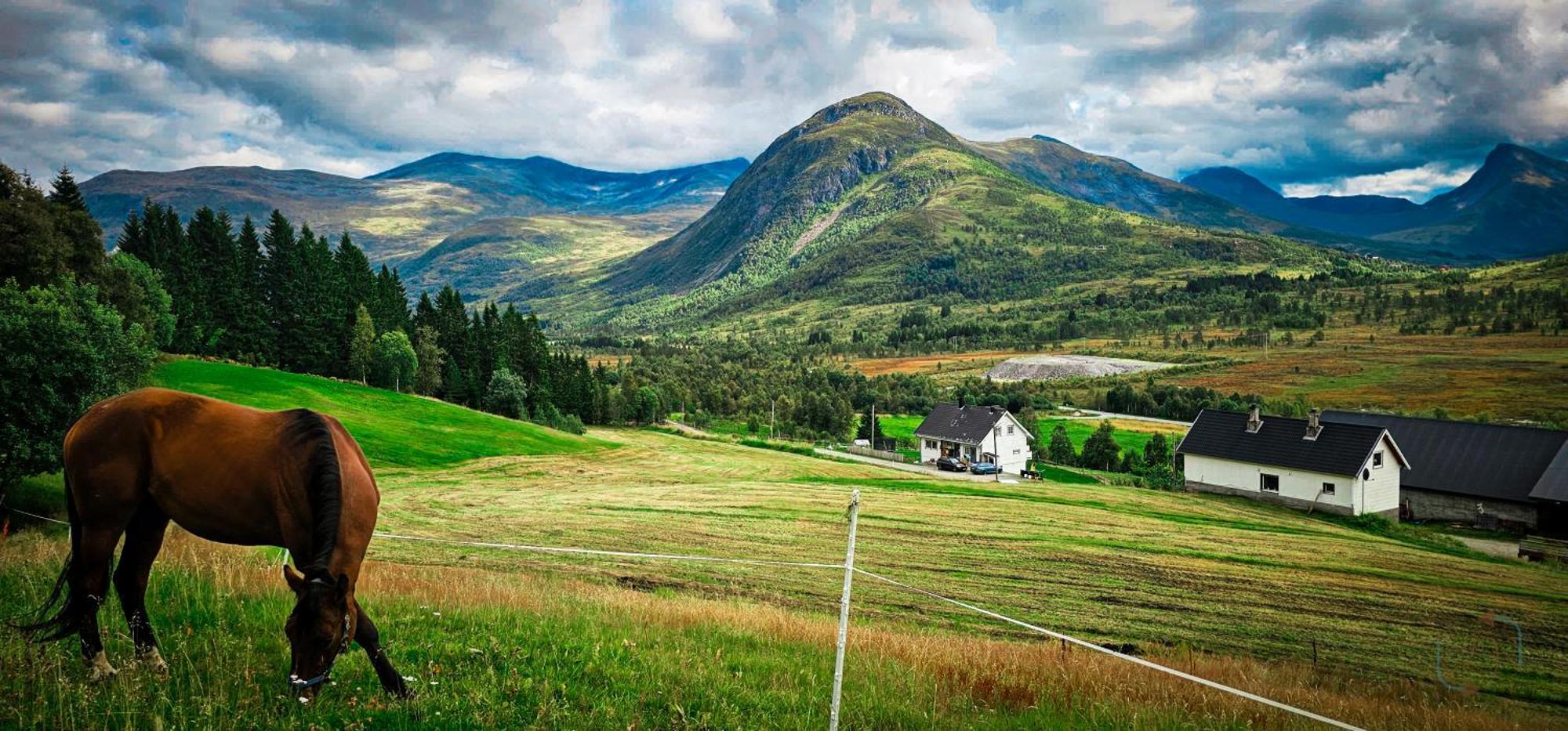 Holiday Home Among The Pearls Of Norway Stranda  Exteriör bild